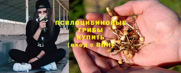 шишки Алзамай